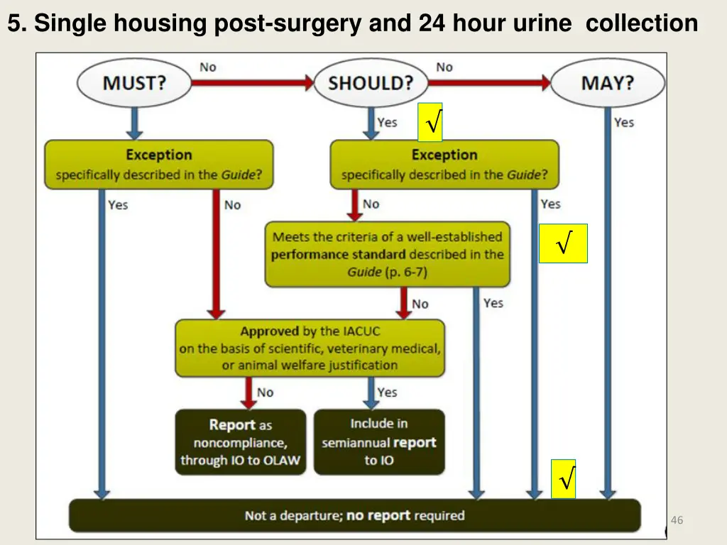 5 single housing post surgery and 24 hour urine