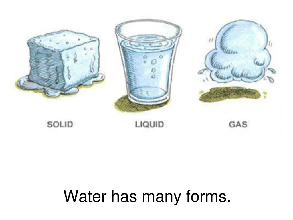 water has many forms 1