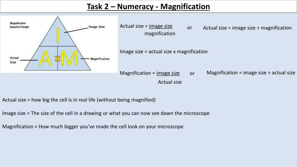 task 2 numeracy magnification 1