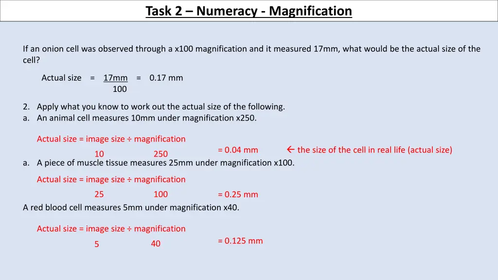 task 2 numeracy magnification 2