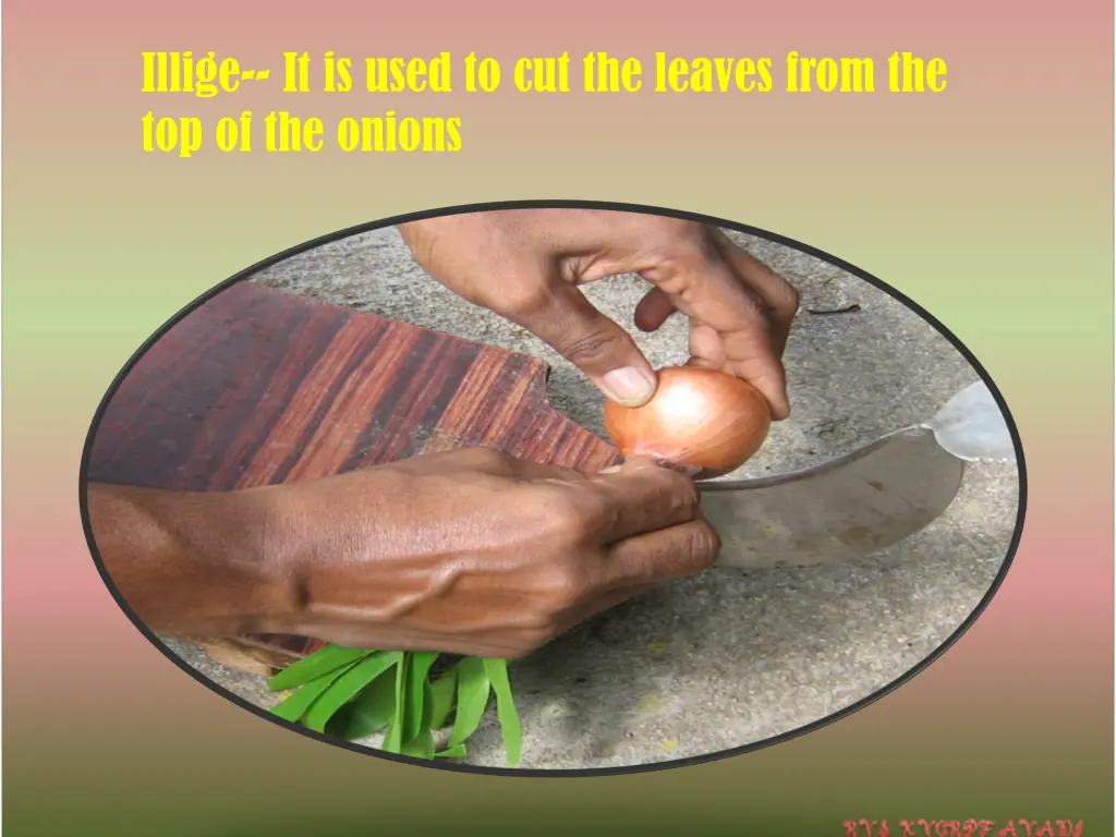 illige it is used to cut the leaves from