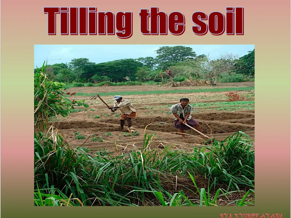 tilling the soil