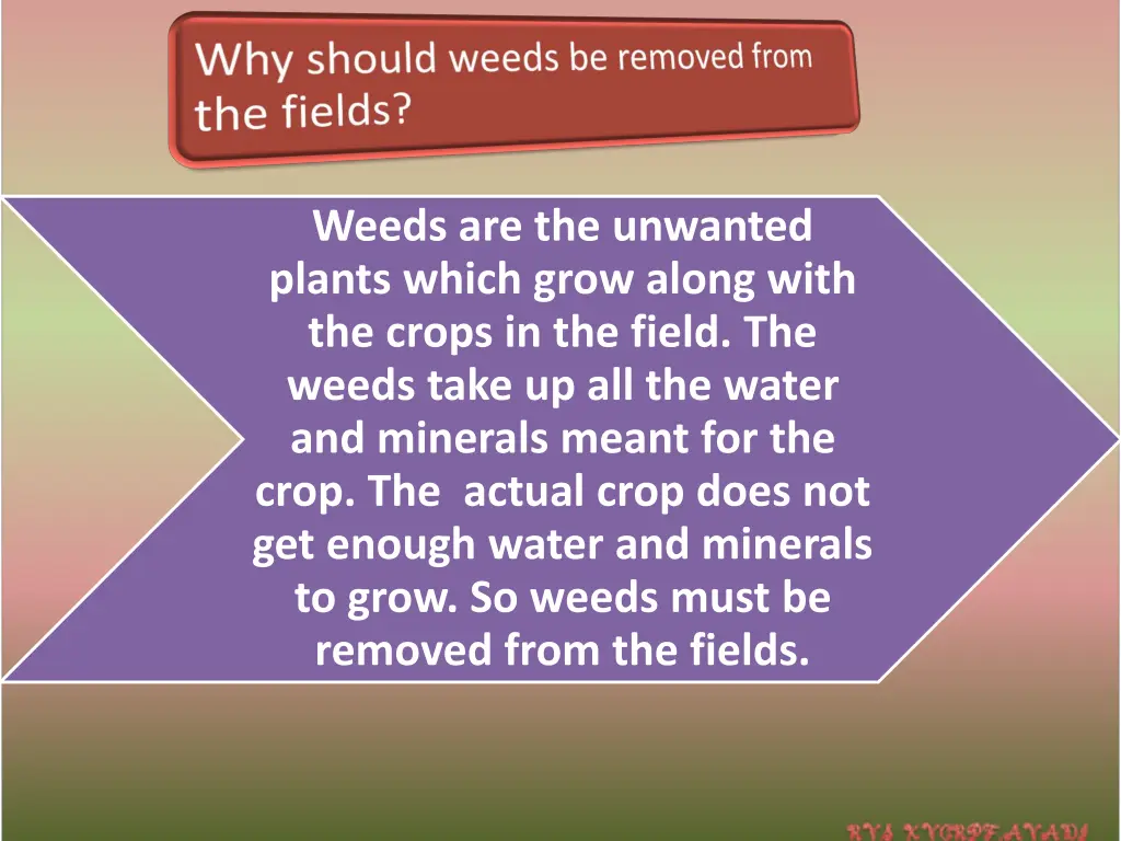 weeds are the unwanted plants which grow along