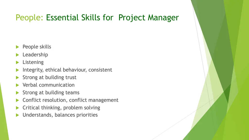 people essential skills for project manager