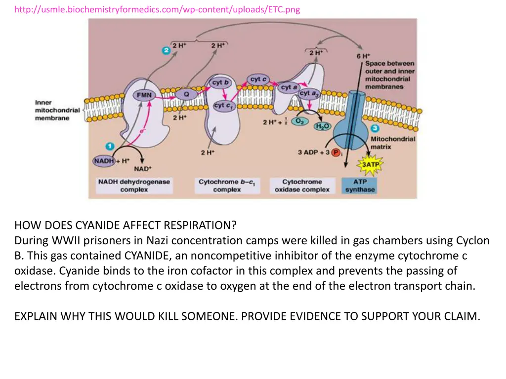 http usmle biochemistryformedics com wp content