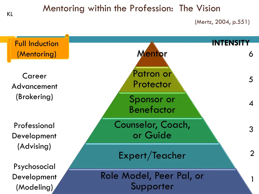 mentoring within the profession the vision intent