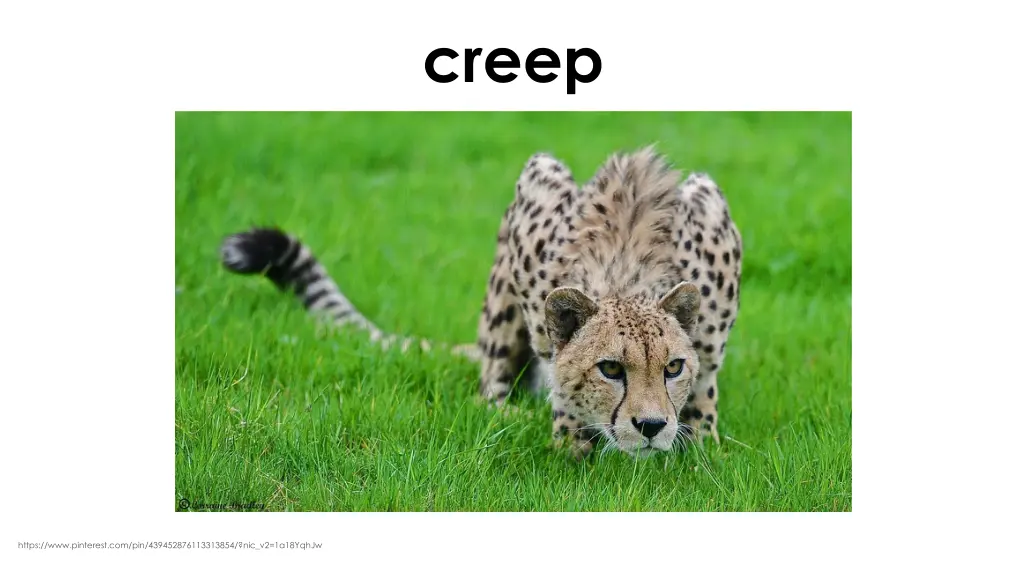 creep