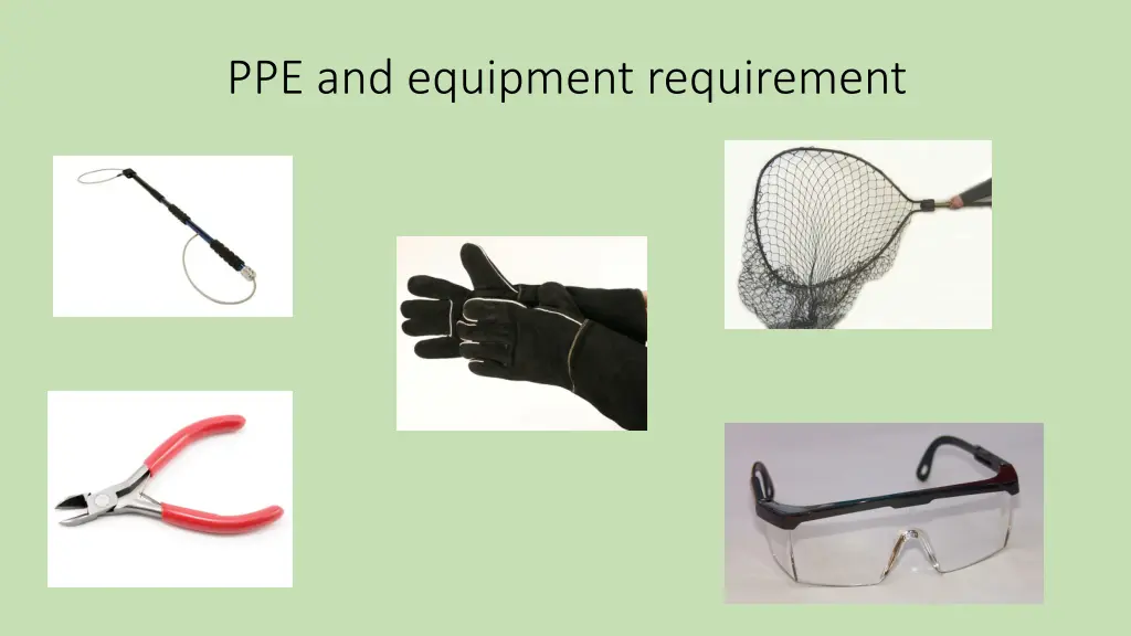 ppe and equipment requirement