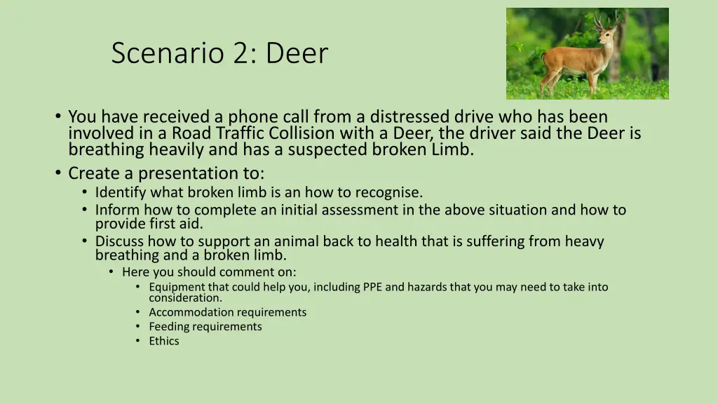 scenario 2 deer