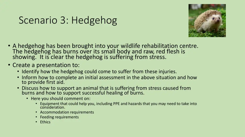 scenario 3 hedgehog