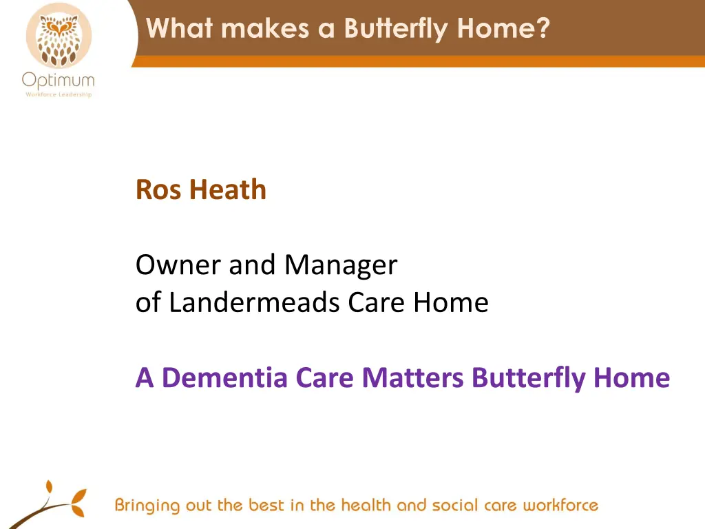 what makes a butterfly home