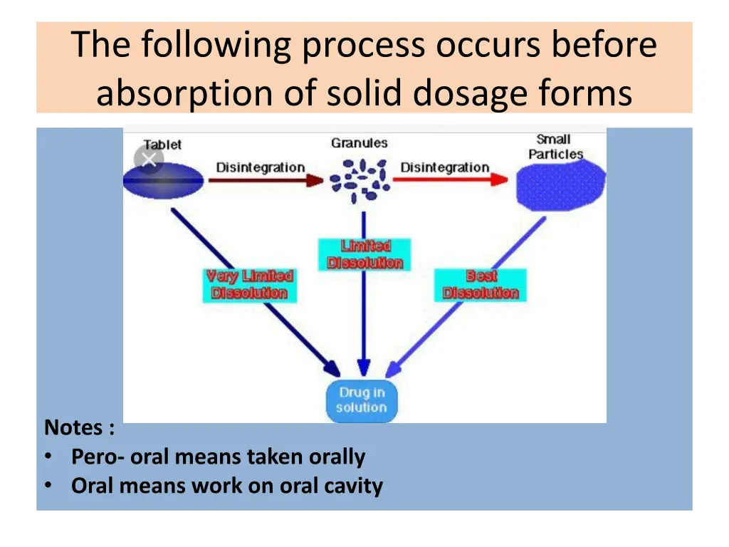 the following process occurs before absorption