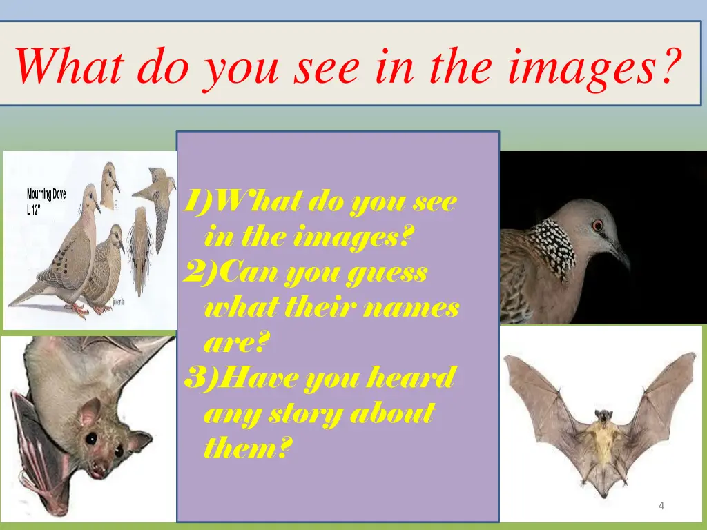 what do you see in the images