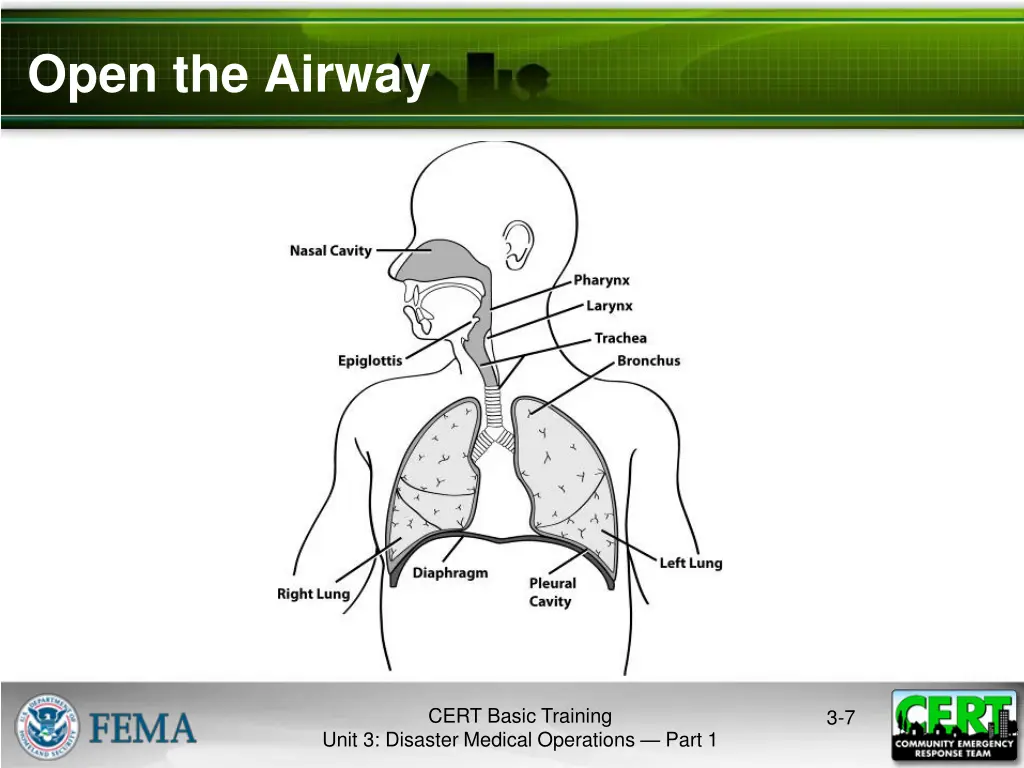 open the airway