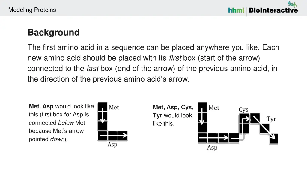 modeling proteins 1