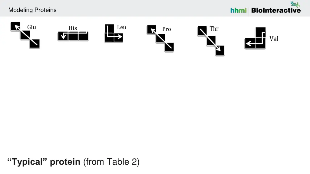 modeling proteins 3