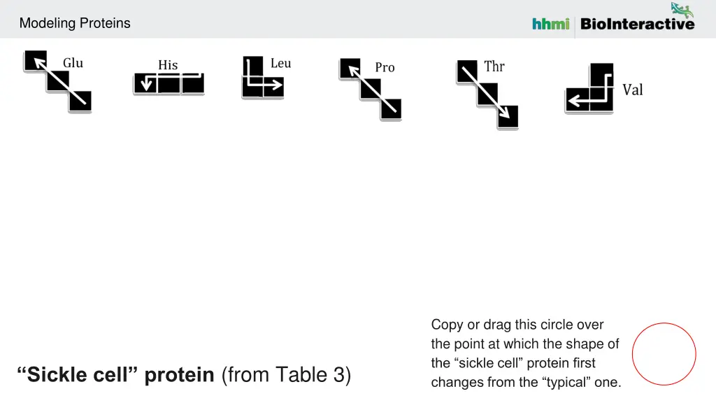 modeling proteins 4