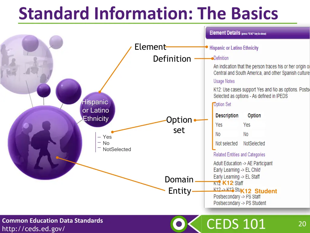 standard information the basics