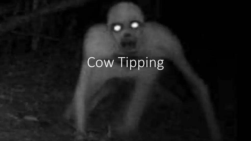 cow tipping