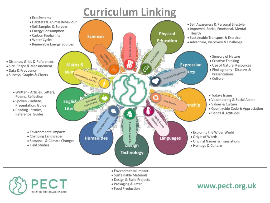 curriculum linking