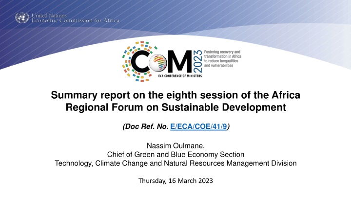 summary report on the eighth session