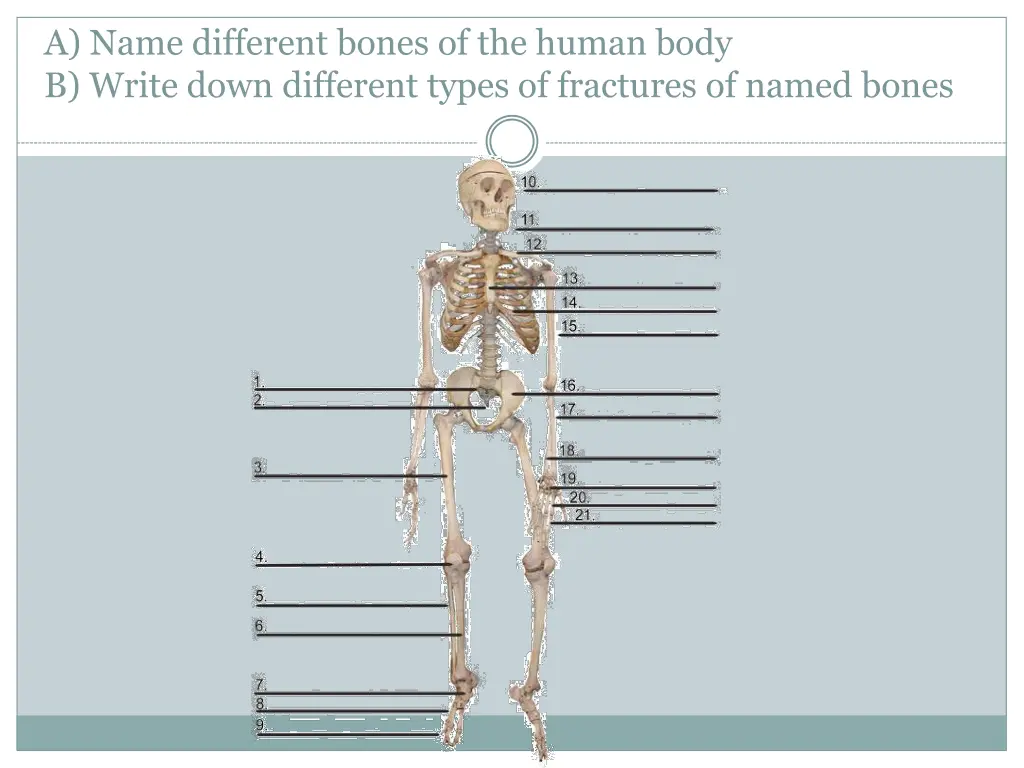 a name different bones of the human body b write