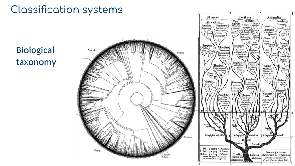 classification systems 1