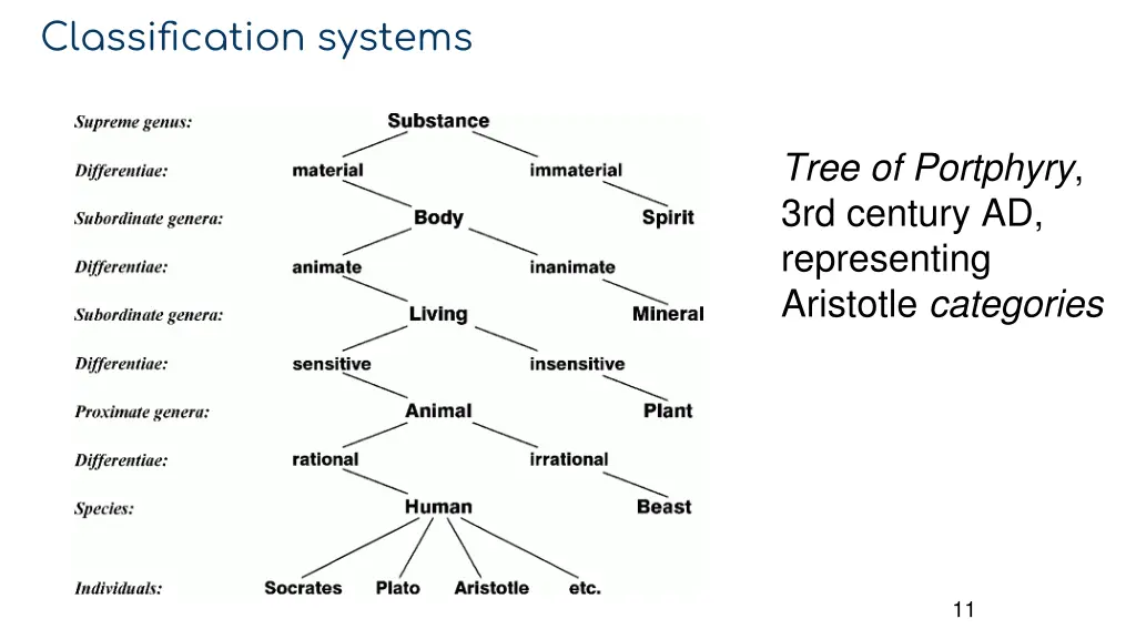 classification systems