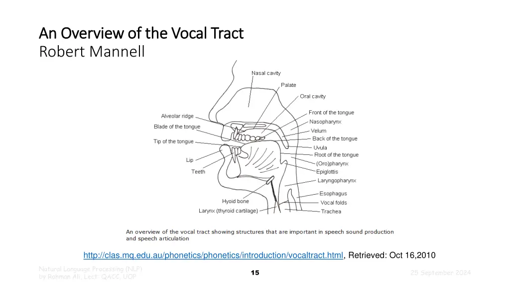 an overview of the vocal tract an overview