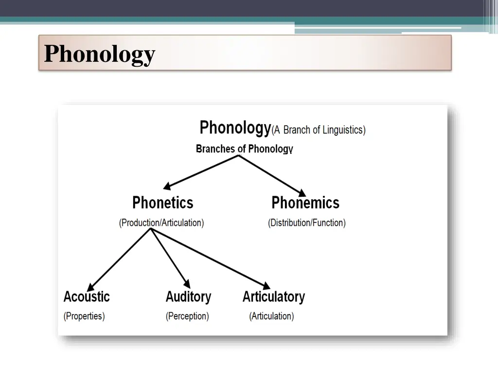 phonology