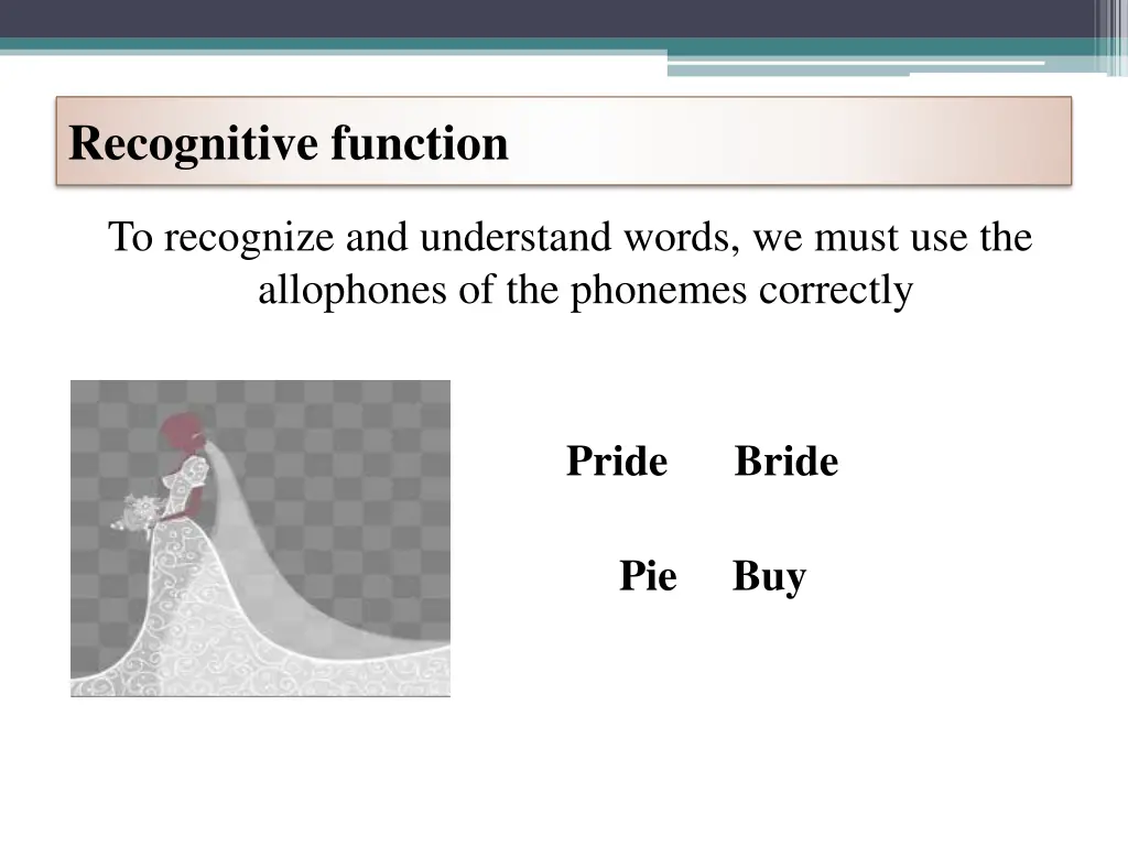 recognitive function