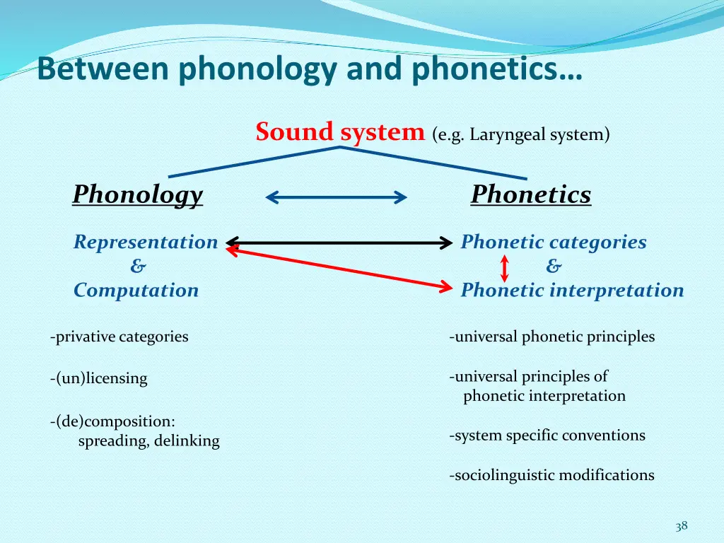 between phonology and phonetics