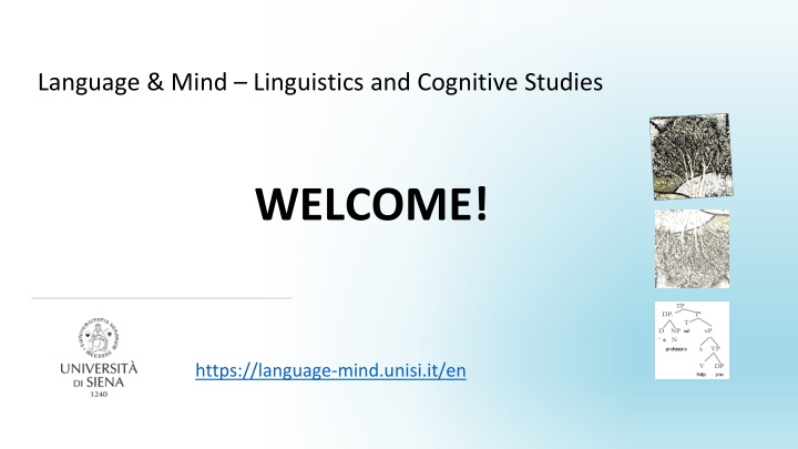 language mind linguistics and cognitive studies