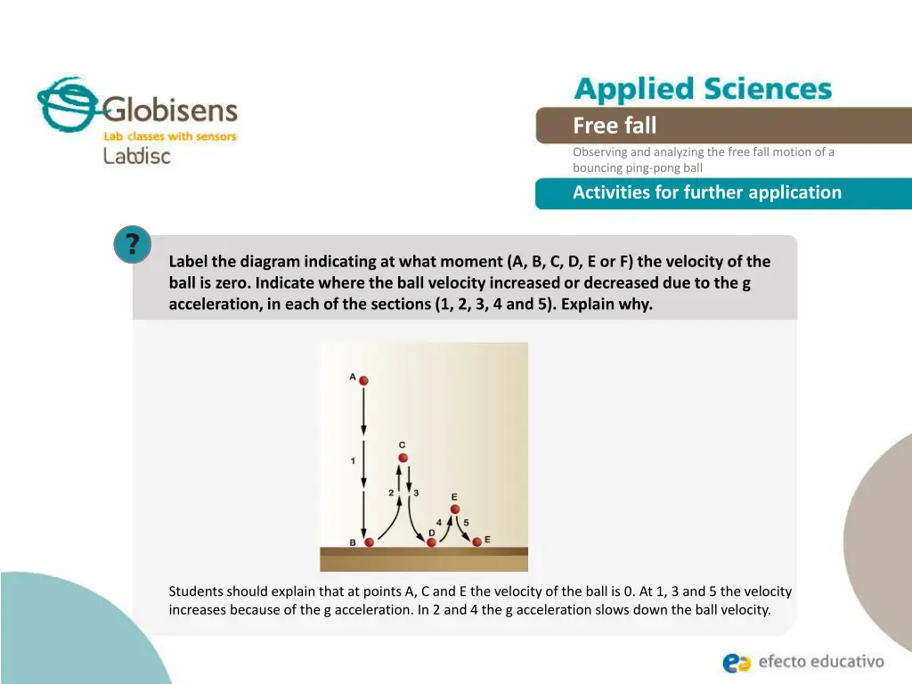 free fall observing and analyzing the free fall 21