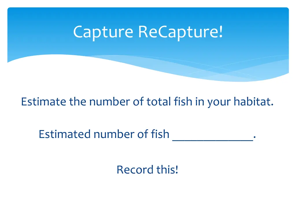 capture recapture 1