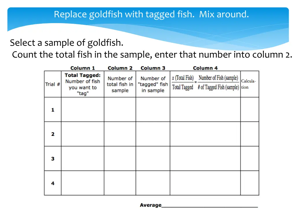 replace goldfish with tagged fish mix around