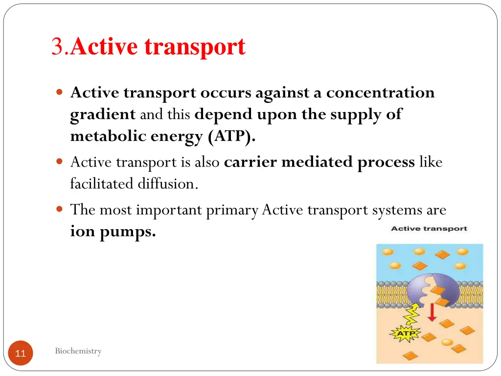 3 active transport