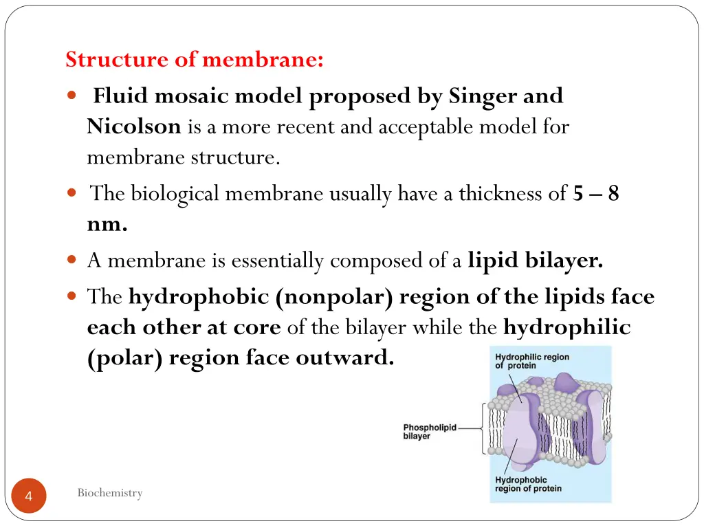 structure of membrane fluid mosaic model proposed