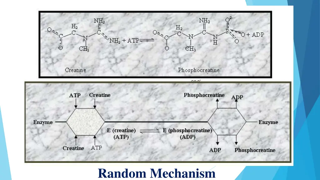 random mechanism