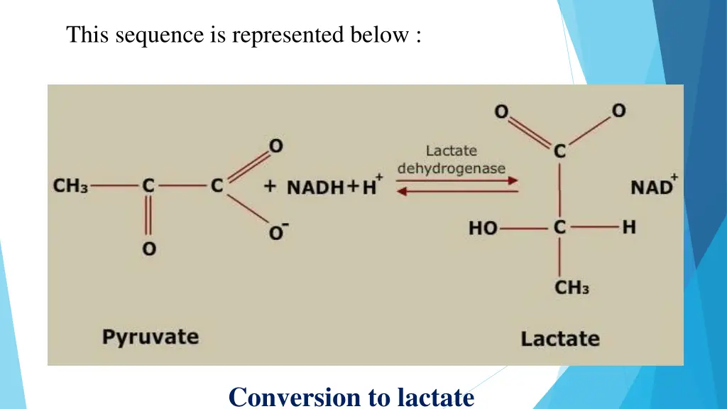 this sequence is represented below