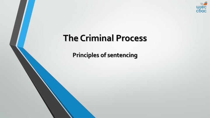 the criminal process