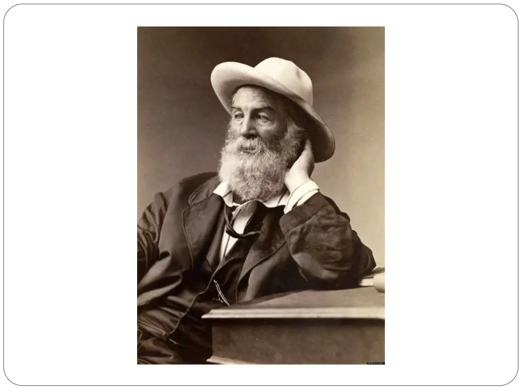 image result for walt whitman