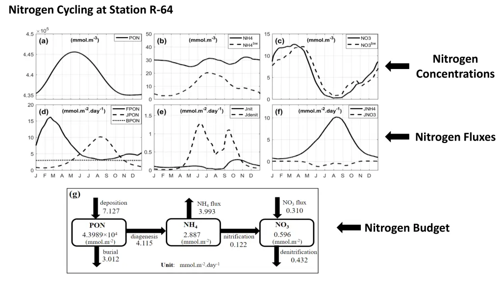 nitrogen cycling at station r 64