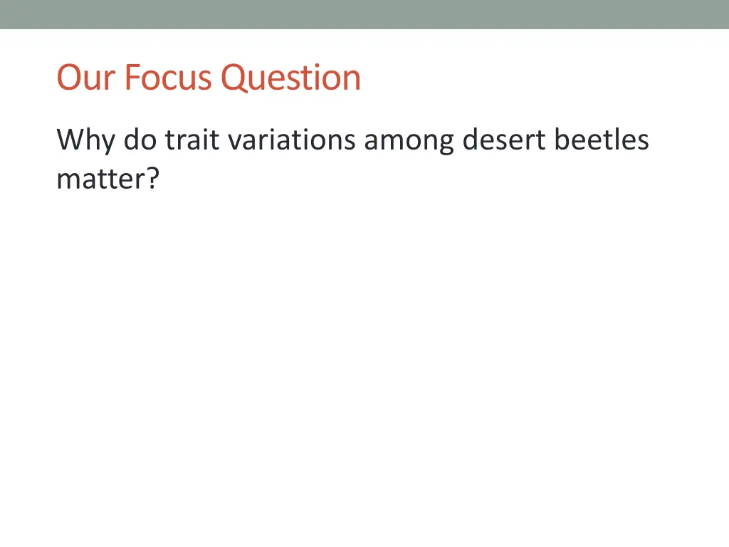 our focus question