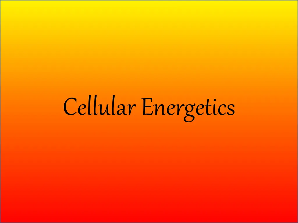 cellular energetics