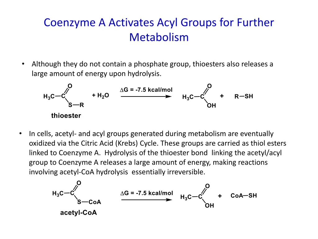 coenzyme a activates acyl groups for further