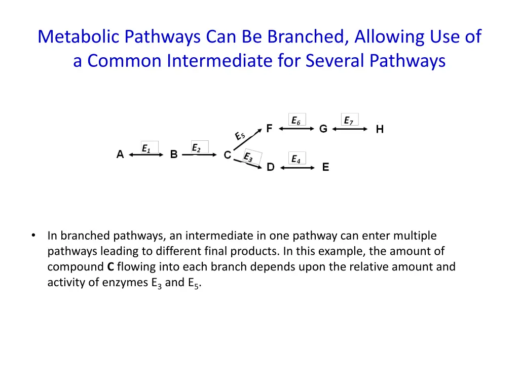 metabolic pathways can be branched allowing