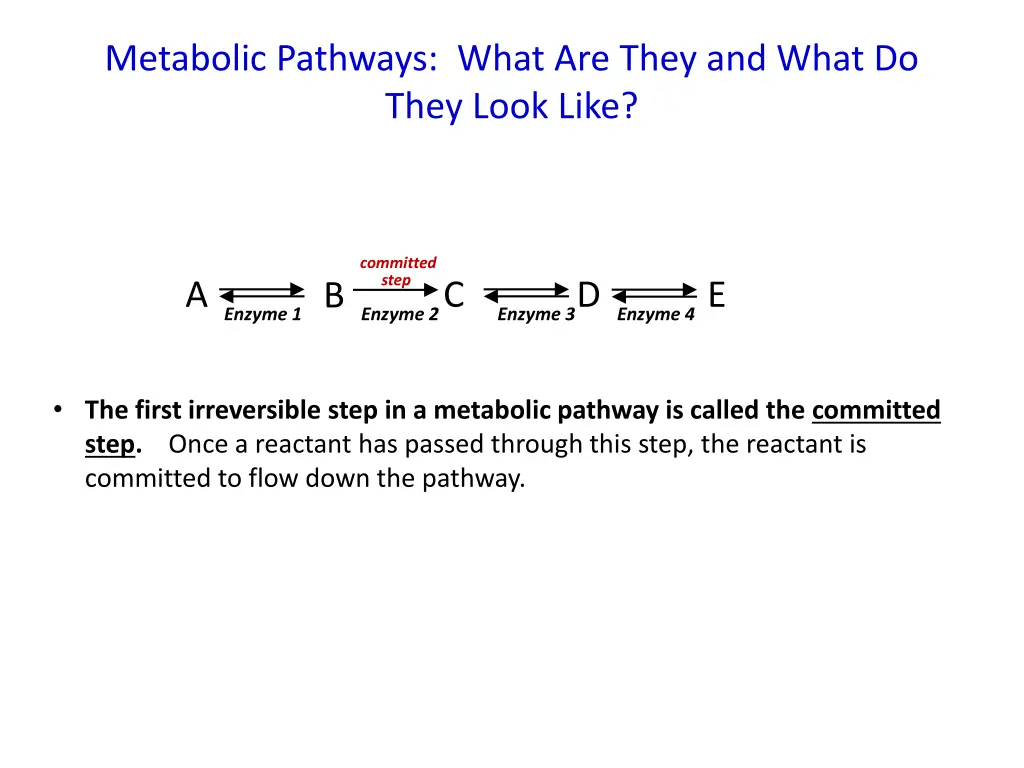 metabolic pathways what are they and what do they 1