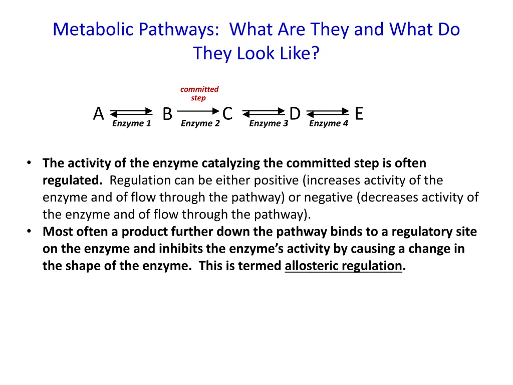 metabolic pathways what are they and what do they 2