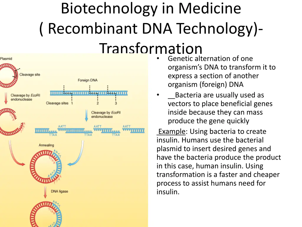 biotechnology in medicine recombinant